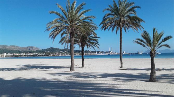 Villa Berna Alcúdia Buitenkant foto